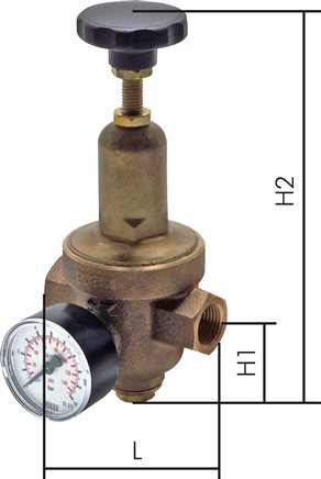 Exemplarische Darstellung: Standard-Druckminderer